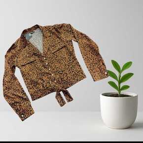 Nunc congue dui nec...